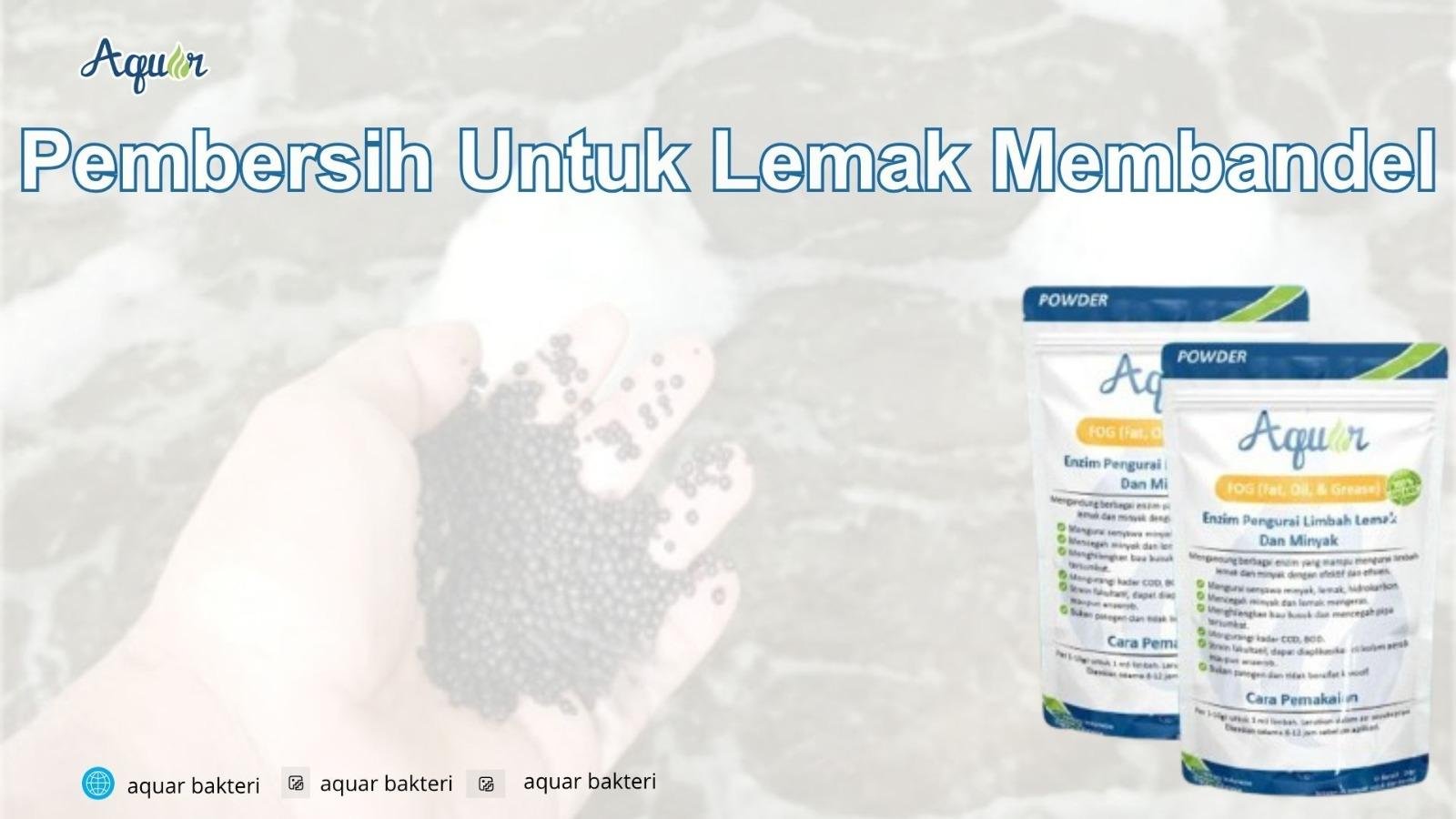 Pembersih Untuk Lemak Membandel