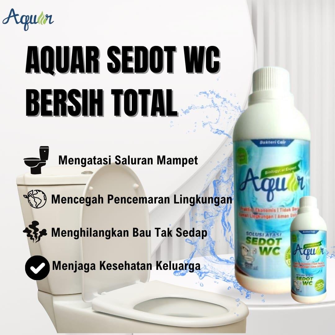 Solusi WC Mampet Tanpa Sedot WC