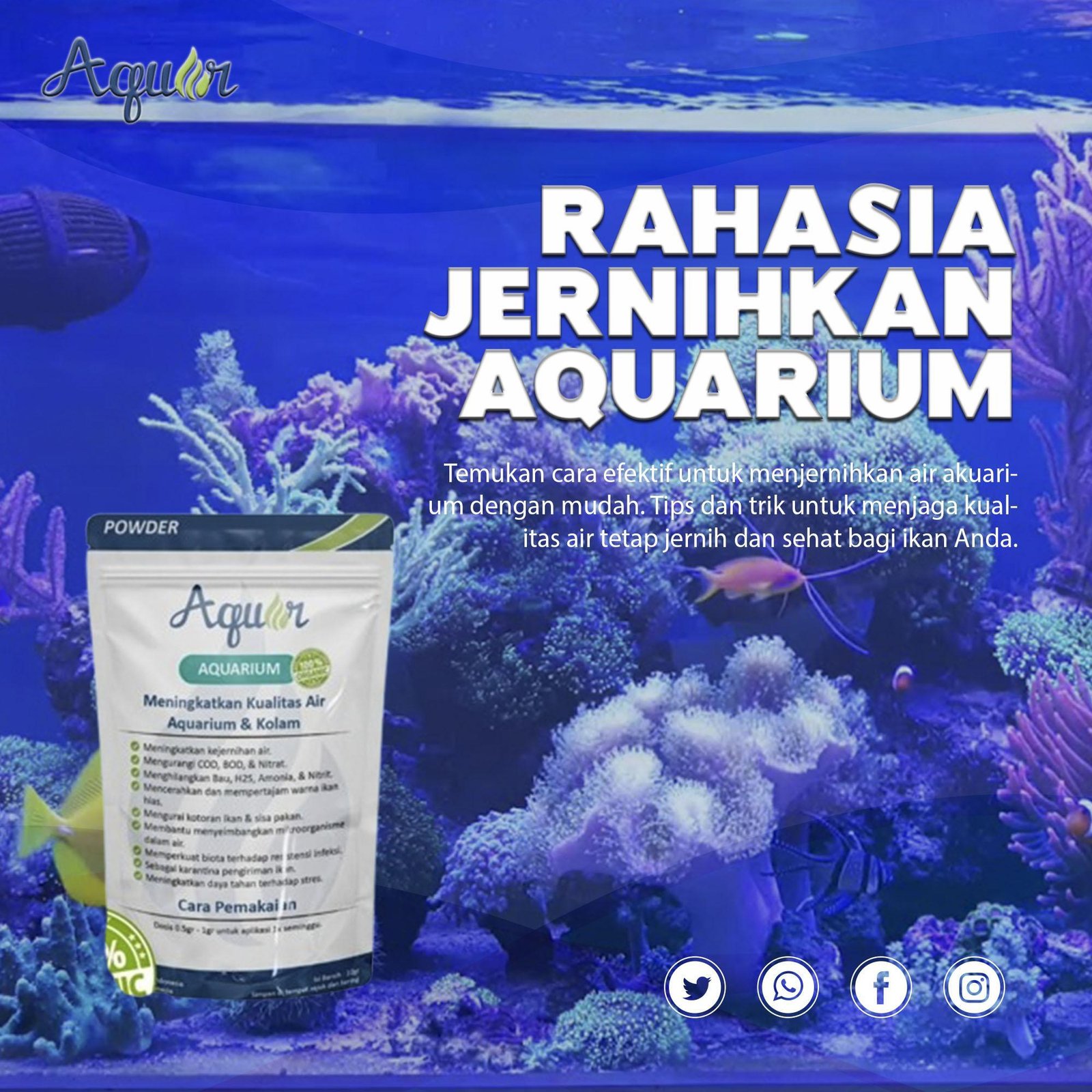 Distributor Aquar Aquarium