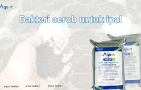 Bakteri aerob untuk ipal