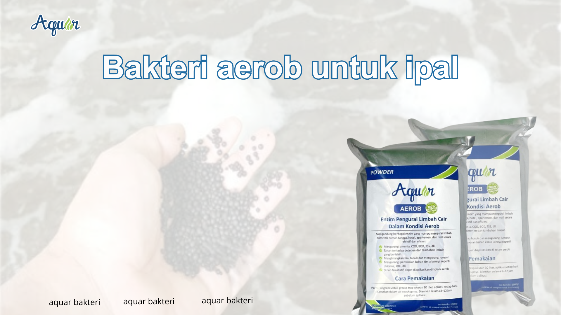 Bakteri aerob untuk ipal