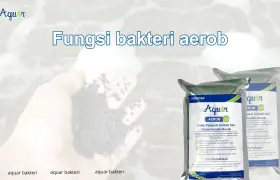 Jenis bakteri pengurai limbah cair
