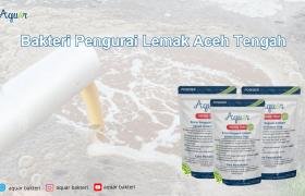Bakteri Pengurai Lemak Aceh Tengah