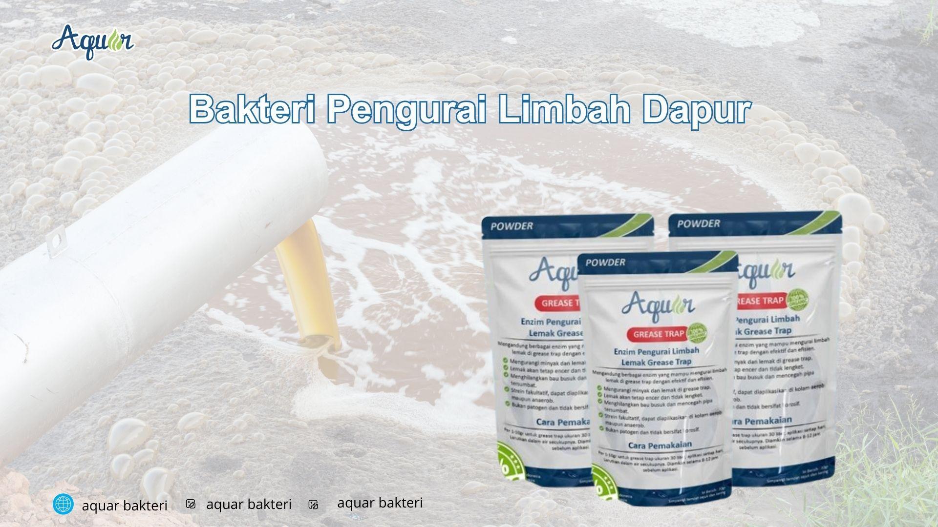 Bakteri Pengurai Limbah Dapur