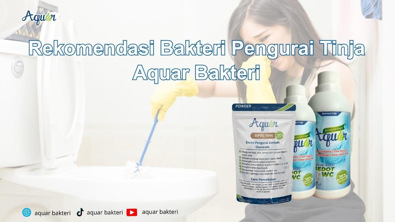 Rekomendasi Bakteri Pengurai Tinja