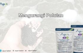 Mengurangi Polutan
