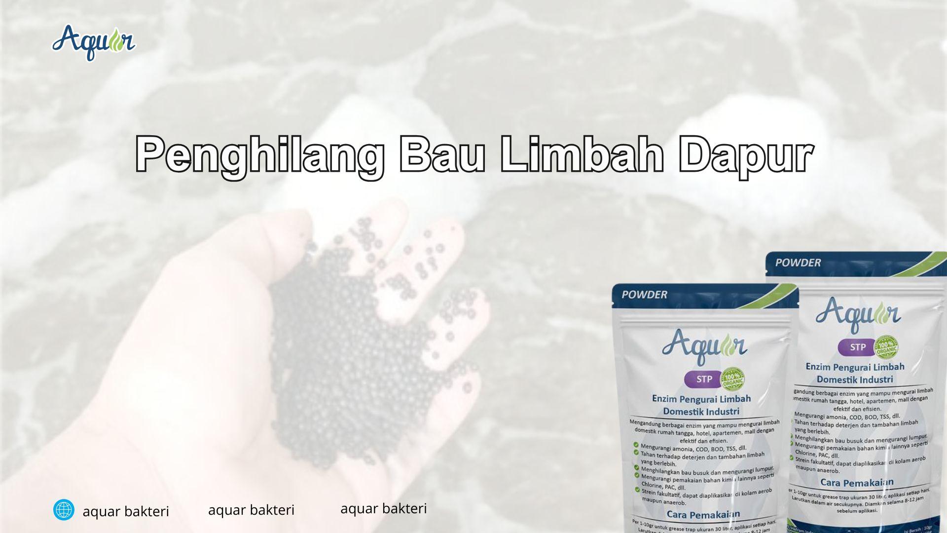 Penghilang Bau Limbah Dapur