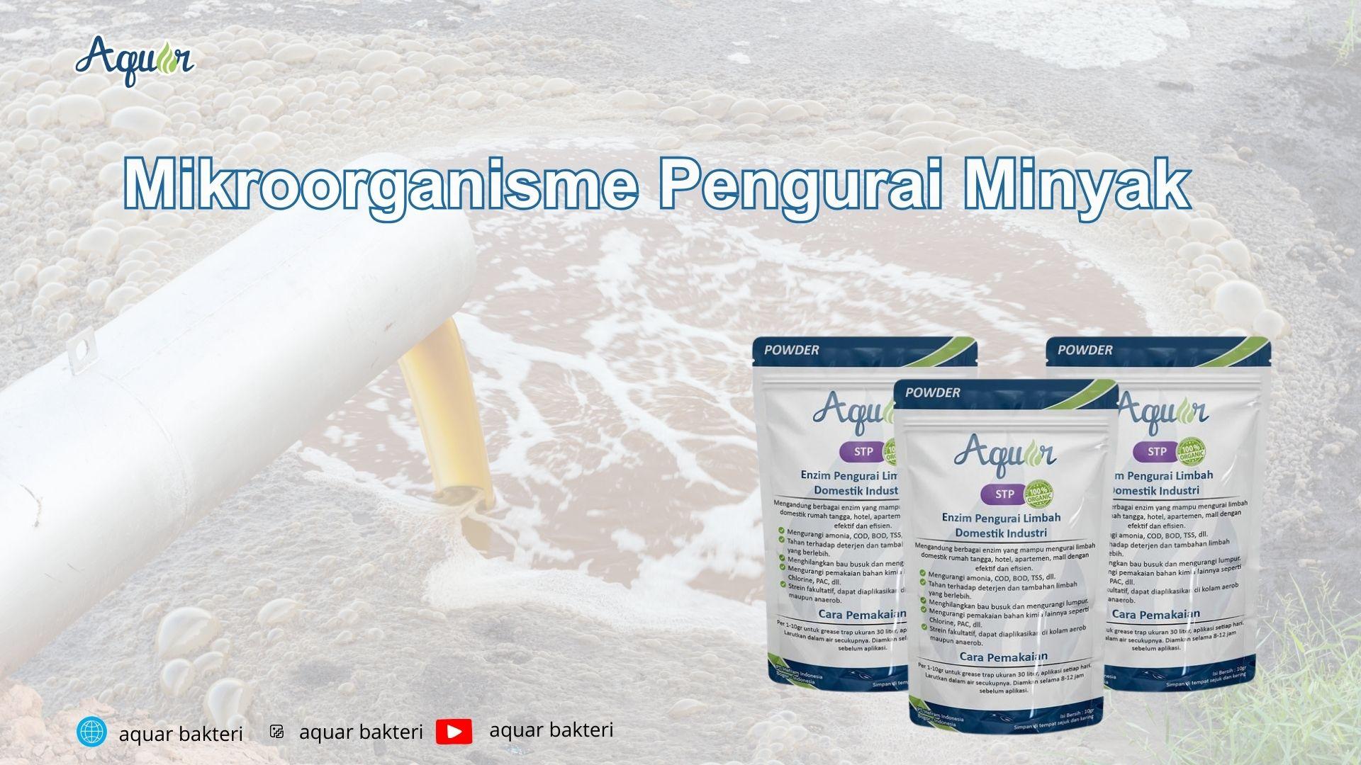 Mikroorganisme Pengurai Minyak