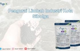 Pengurai Limbah Industri Kota Sibolga