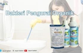 Bakteri Pengurai Organik
