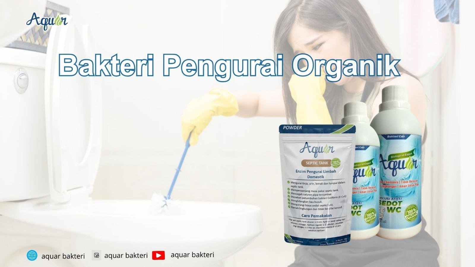Bakteri Pengurai Organik